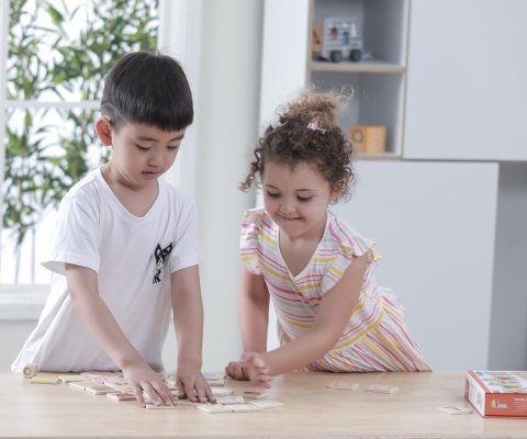Viga Viga 44506 Puzzle - zestaw do nauki kształtów