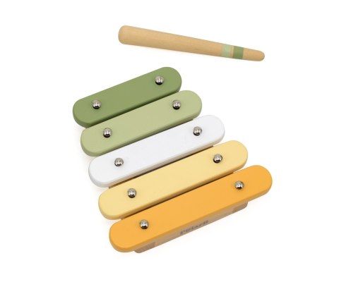 Viga Viga 44213 PolarB Zestaw muzyczny - Ptak