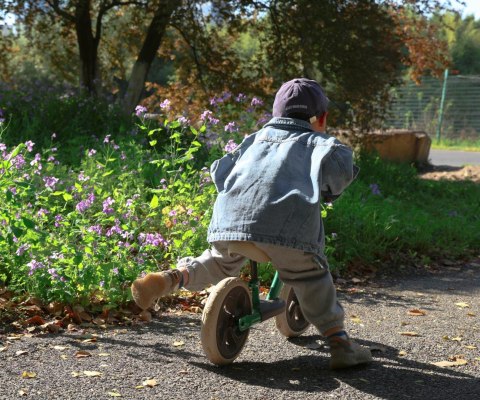 Qplay Qplay Rowerek Biegowy Trainer Green