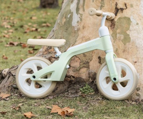 Qplay Qplay Rowerek Biegowy Tech Mint