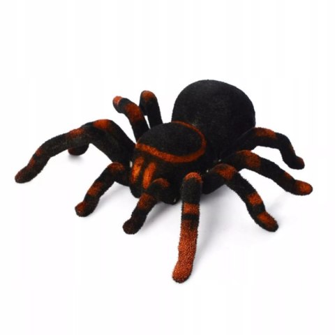 Duży pająk zdalnie sterowany na pilot chodzi jak prawdziwy, duża Tarantula