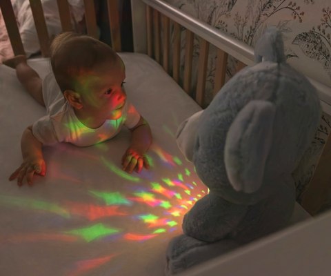 Milly Mally Milly Mally Zabawka pluszowa z Projektorem Milly Bear Blue