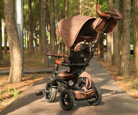Qplay Qplay Rowerek Trójkołowy Rito Deluxe Rubber Brown