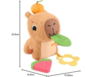Mattel Fisher Price HYR54 Zabawka Sensoryczna Kapibara