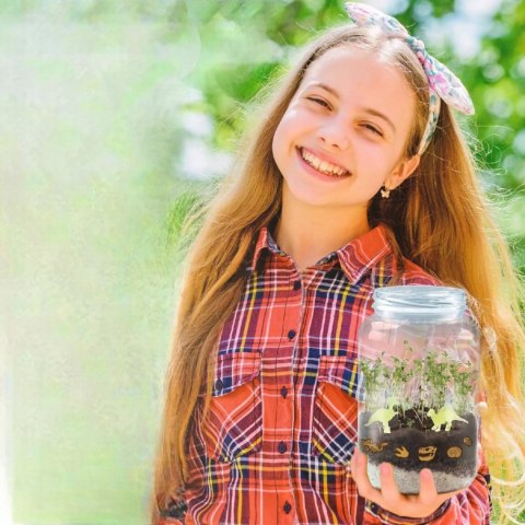 Science4You Zestaw naukowy Terrarium dinozaura 6+ Trefl Science4you 61939 Science4You Zestaw naukowy Terrarium dinozaura 6+ Trefl Science4you 61939