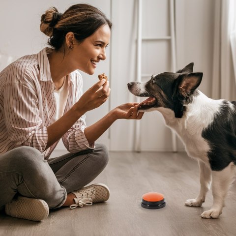 Zestaw 4 przycisków komunikacyjnych dla psa TALKER Zestaw 4 przycisków komunikacyjnych dla psa TALKER