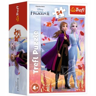 Trefl Puzzle 54 mini Frozen Kraina Lodu Anna Elsa 54 elementy Trefl 19639