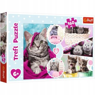 Trefl Puzzle Koty 160 elementów Urocze kotki Trefl 15371