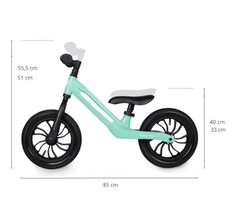 Qplay Qplay Rowerek Biegowy Racer Mint