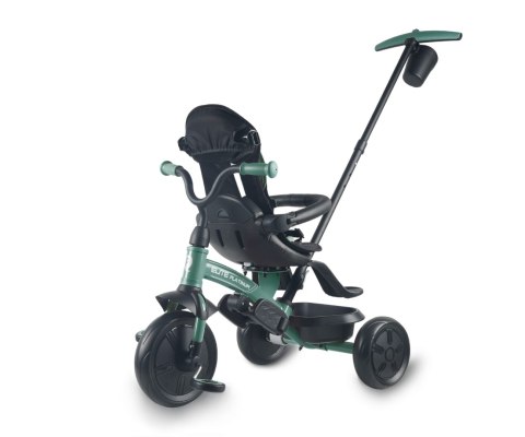 Qplay Qplay Rowerek Trójkołowy Elite Platinum Green