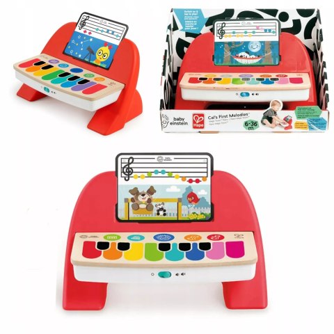 Hape Magiczne dotykowe pianinko organy Value 6m+ Baby Einstein Hape Trefl 800894 Hape Magiczne dotykowe pianinko organy Value 6m+ Baby Einstein Hape Trefl 800894
