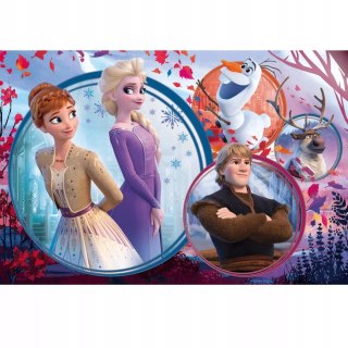 Trefl Puzzle Kraina Lodu 160 el. Siostrzana przygoda Frozen Trefl 15374