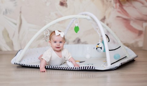 Milly Mally Mata niemowlęca 5w1 Lolly Elephant Milly Mally Mata niemowlęca 5w1 Lolly Elephant