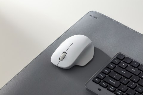 Xiaomi Mouse Comfort Edition | Wireless | 2.4GHz | White Xiaomi Mouse Comfort Edition | Wireless | 2.4GHz | White