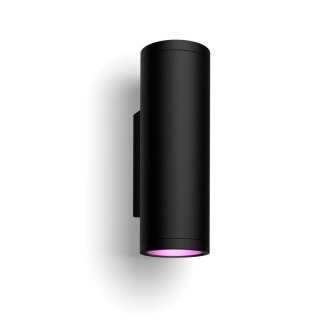 Philips Hue WCA Appear Outdoor Wall Lantern, Black | Philips Hue
