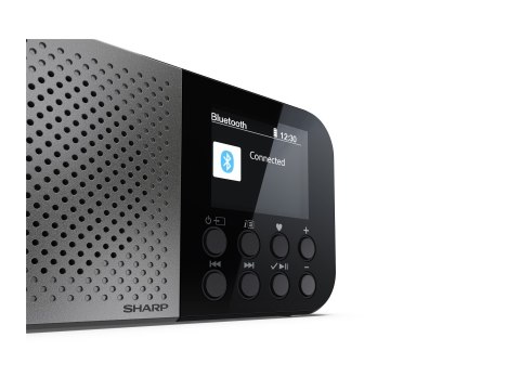 Sharp DR-P520(GY) OSAKA Pocket/Handheld Portable Digital Radio, Grey | Sharp Sharp DR-P520(GY) OSAKA Pocket/Handheld Portable Digital Radio, Grey | Sharp