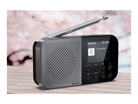 Sharp DR-P520(GY) OSAKA Pocket/Handheld Portable Digital Radio, Grey | Sharp Sharp DR-P520(GY) OSAKA Pocket/Handheld Portable Digital Radio, Grey | Sharp