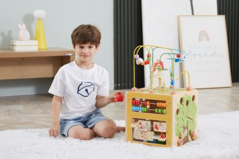 Viga Viga 44591 Kostka edukacyjna 5w1 z labiryntem przestrzennym
