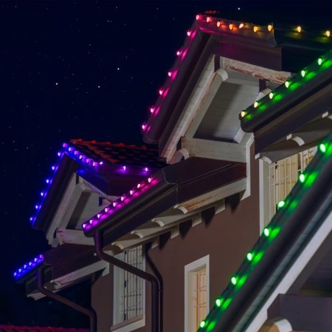 Żarówki Twinkly C9 Smart LED 40 RGB, 12,2 m, zielony przewód|Twinkly Żarówki Twinkly C9 Smart LED 40 RGB, 12,2 m, zielony przewód|Twinkly