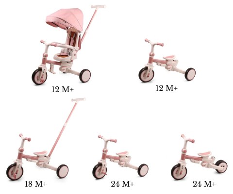 Milly Mally Milly Mally Rowerek Trójkołowy Zippy Pink