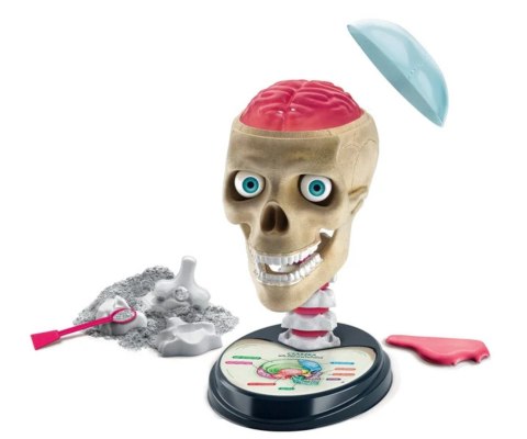 Clementoni Clementoni Naukowa Zabawa Lab 50697 Zwariowana Anatomia