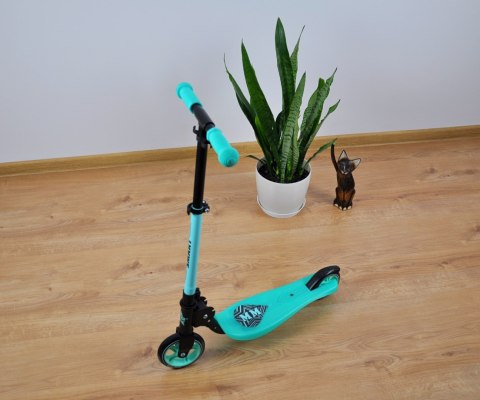 Milly Mally Scooter Smart Green